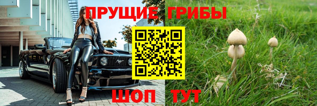 Галлюциногенные грибы прущие грибы  Галлюциногенные грибы Psilocybine cubensis  Нурлат  Вход с VPN 